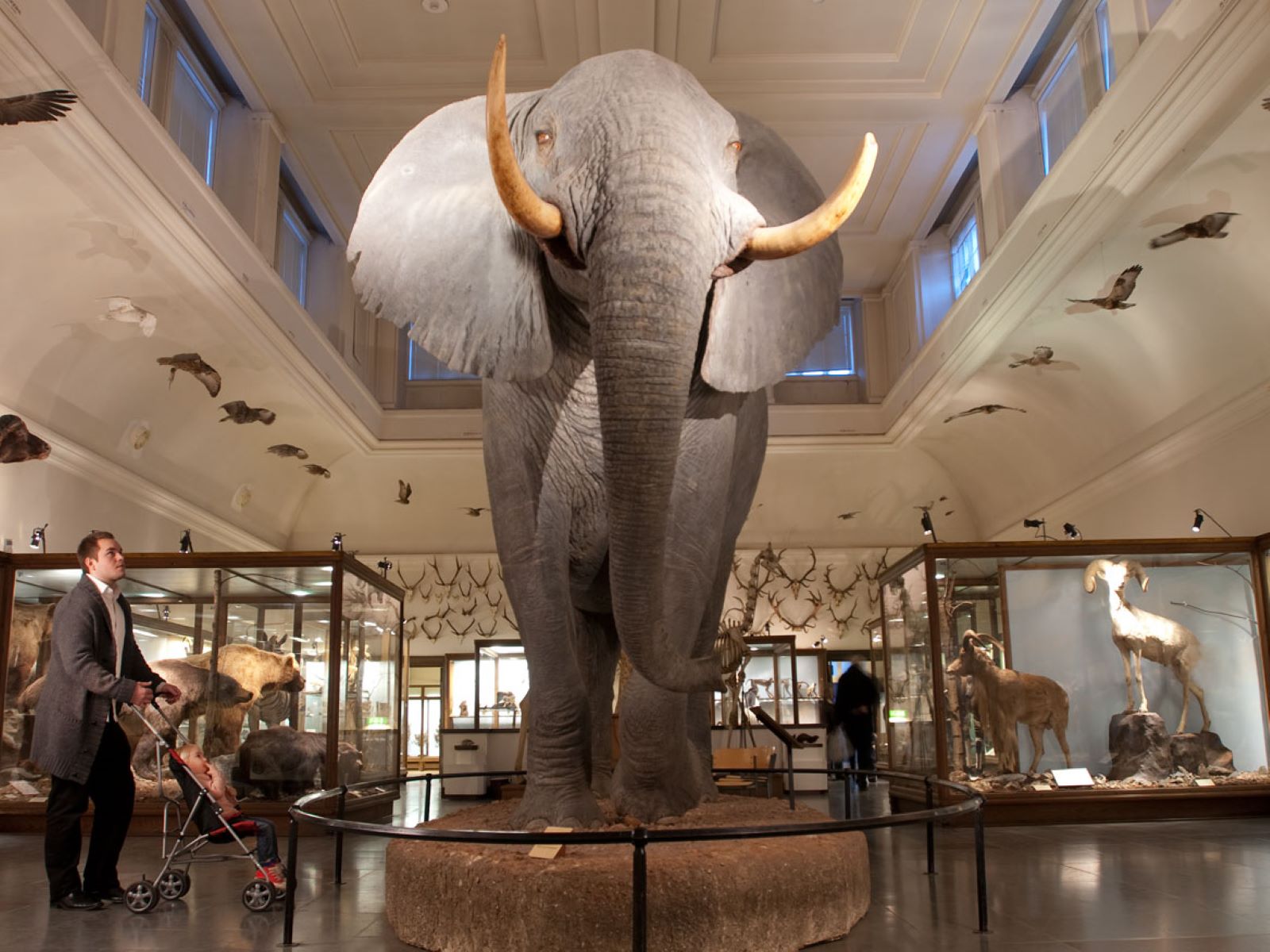 The Gothenburg Natural History Museum The Gothenburg Natural History Museum
